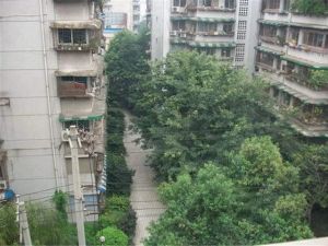 玉寿巷3号2室1厅南