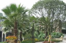 汇融悉尼湾达令港 3室1厅 北