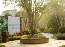 阳光理想城香草天空揽香 3室1厅 南