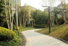 阳光理想城揽香3房1卫,毛坯,高层可以看半个上街