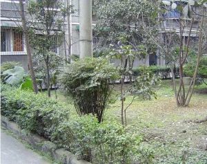 文化路2室1厅东南