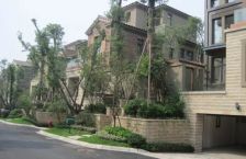 麓山国际长岛 5室3厅 西南