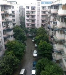 长城馨苑(武侯) 3室2厅 东 南