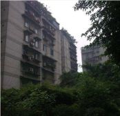 金城小区 3室1厅 南