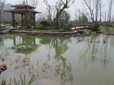 万达旁 锦绣江南 硬装已完成 交通便利