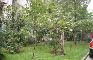 瑞西小区 2室1厅 南