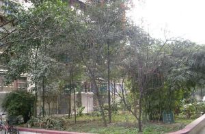瑞西小区4室2厅西南