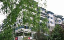 平福路92号2室1厅南