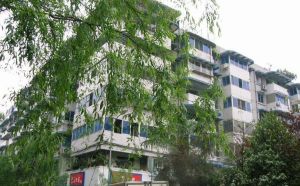 平福路92号2室1厅南