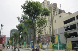 常青藤一期4室1厅东北