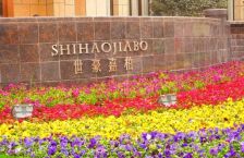 世豪嘉柏 1室1厅 东