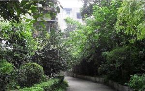 大学路1号2室0厅南