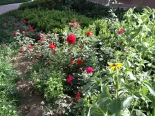 格兰绿都 2室2厅 西南