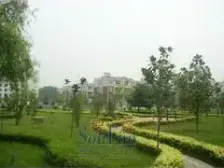 中间楼层 通透大两室 出门郑州中*学 附属小*学