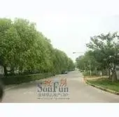 帝苑别墅 精致小四房 无贷款 多层中间楼层