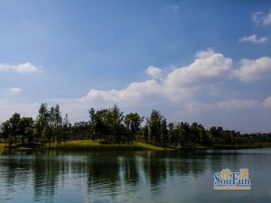 麓湖生态城澜语溪岸 4室2厅 东南