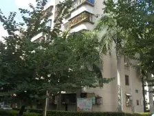 天乙广场 2室1厅 南