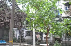 菽香里社区2室2厅东南