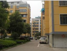 绿城花园 诚心出售 户型方正 看房预约