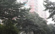 此房屋产权清晰,70年住宅,户型方正