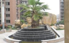 御景花园,电梯房,楼层好,采光好,南北通透