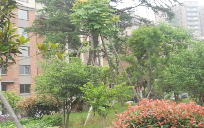 御景花园