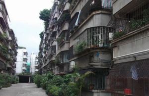 金鱼街60号2室1厅南北