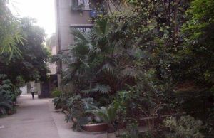 大慈寺路30号 3室1厅 东