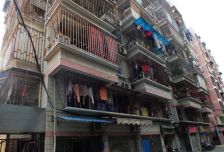 黎明乌山则徐三坊七巷通湖灵响光禄澳门冠亚妇幼桂枝里