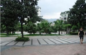 华夏名居 2室1厅 西南 西