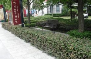 华夏名居4室2厅南