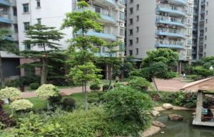 小区少有电梯南向两房户型方正望小区花园