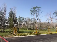 阳光城林隐天下观阑郡 5室3厅 南 北