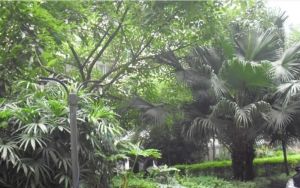 欧城绿园 3室2厅 东南 西