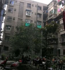东顺城南街51号2室1厅南