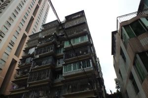 华湖花园 3室2厅 西南