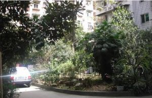 华油路29号2室1厅东南南