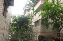 天骄苑 1室1厅 东