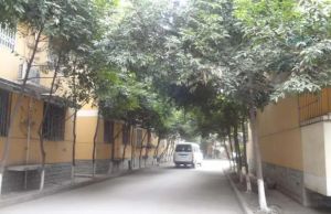 天骄苑 1室1厅 东南