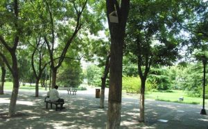 西大街97号 2室1厅 南