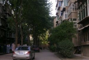 西大街97号2室1厅东南