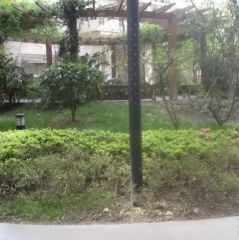 天涯石东街8号2室1厅北北北