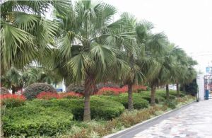 清江东路120号 3室2厅 东南