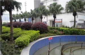 清江东路120号 3室1厅 南