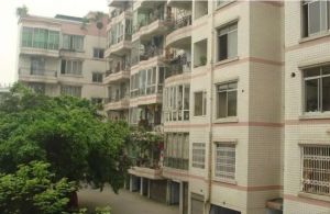 新世纪家园3室1厅东东南