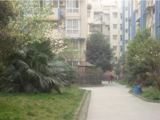 天府明珠花园 4室2厅 西北