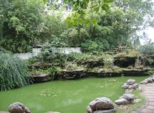 天府明珠花园 6室1厅 东南