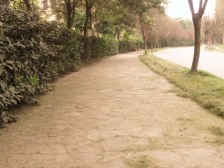 庆隆小高层 东南朝向中间楼层看温泉酒店 随时看房