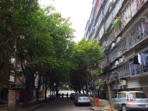 铁六小区3室2厅南