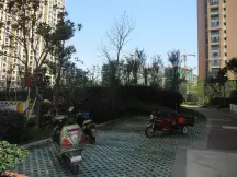 阳光龙庭